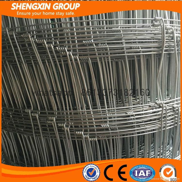 ISO 9001 Hot Dipped Galvanized Cow Fence 2