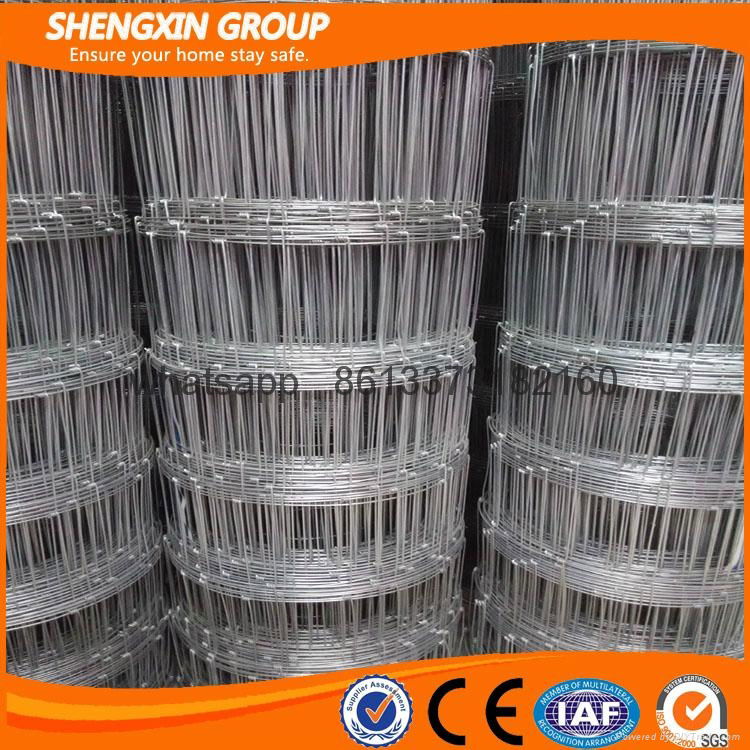 High Tensile Galvanized Cow Fence Wholesale 5
