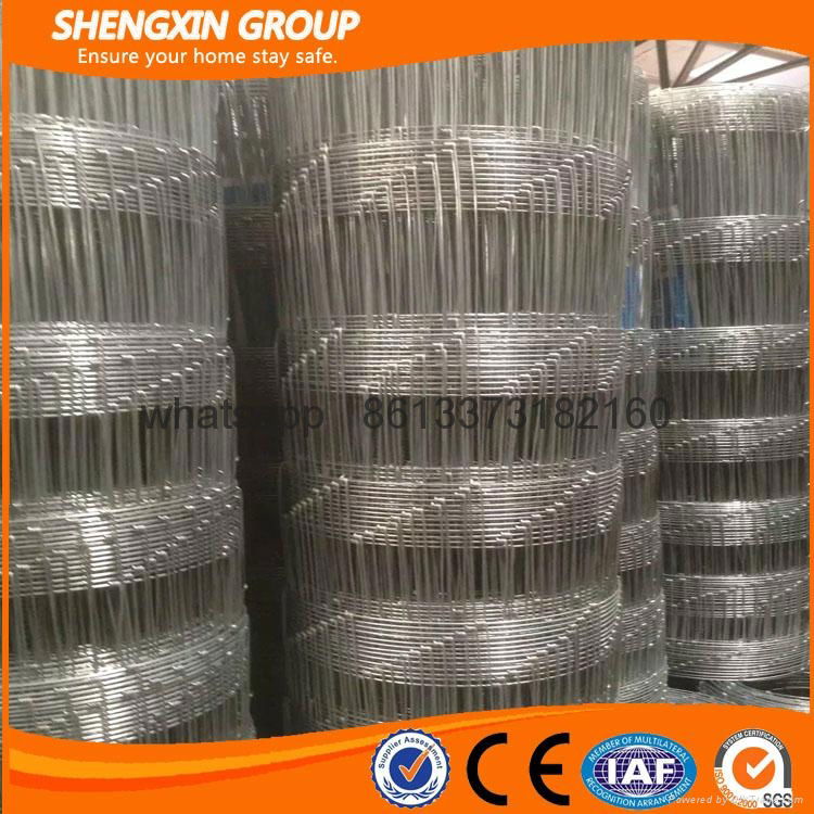 hot sale for high quality Wire mesh fence for sheep and goat 2