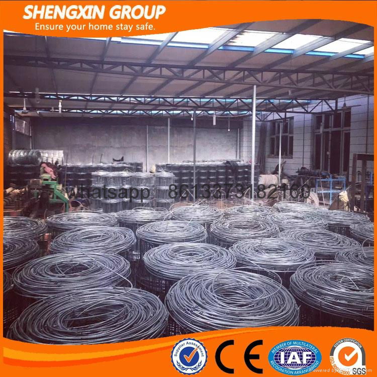 hot sale for high quality Wire mesh fence for sheep and goat 4