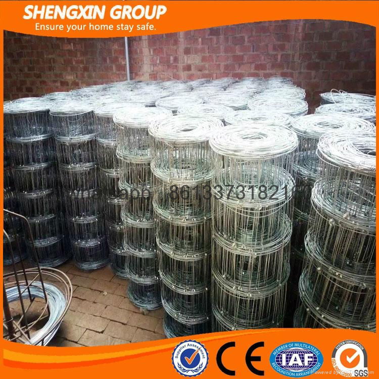 hot sale for high quality Wire mesh fence for sheep and goat 5