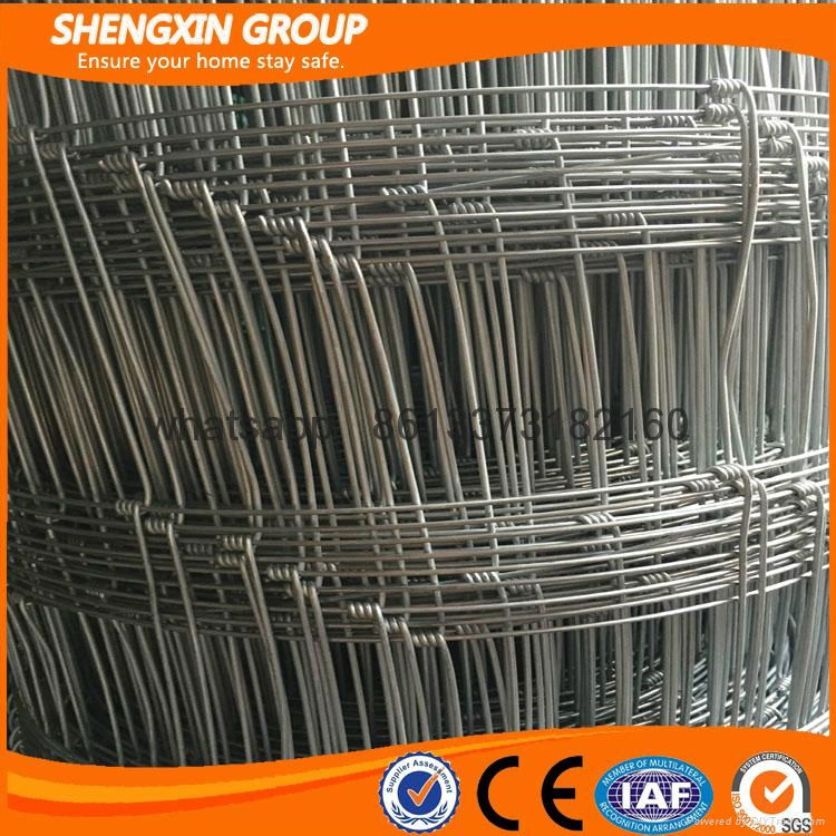 electrical fence for sheep wire mesh fence for sheep 3