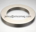 Permanent Magnets Neodymium Magnetic