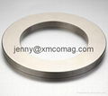 Permanent Magnets Neodymium Magnetic Power magnets for sale