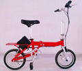 OEM Customized Folding Electric Bicycle Folding E-bike Electric bike 3