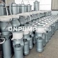 天津大流量軸流泵現貨供應 3