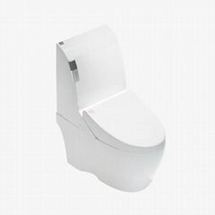 Intelligent Wc Automatic Sanitary Ware