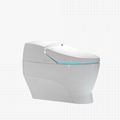 vagina bidet toilet round toilet bowl soft closing sensor smart toilet