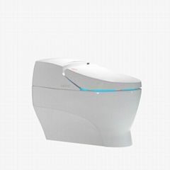 vagina bidet toilet round toilet bowl soft closing sensor smart toilet