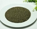 Lower Price Organic Finny Green Tea 1