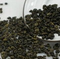 Lower Price Organic Gunpowder Green Tea 2