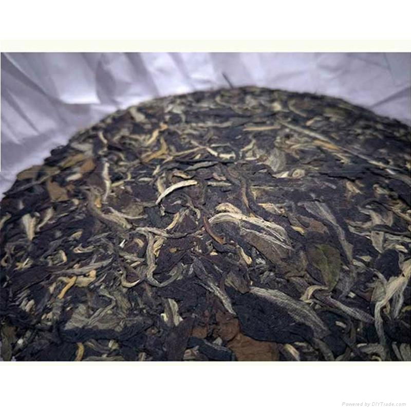 Guirui High Quality White tea 3