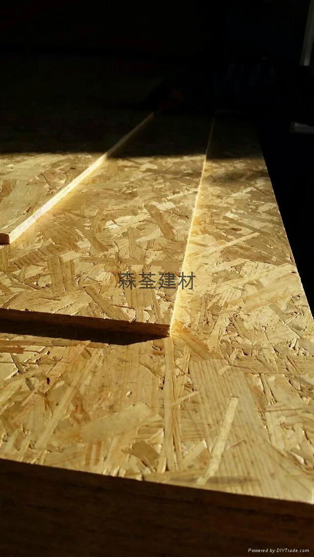 OSB3建筑用欧松板 3