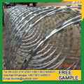 razor barbed wire fencing in kenya 1