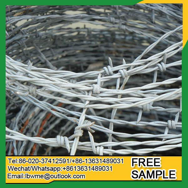 razor barbed wire fencing in kenya 2