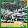 razor barbed wire fencing in kenya 2