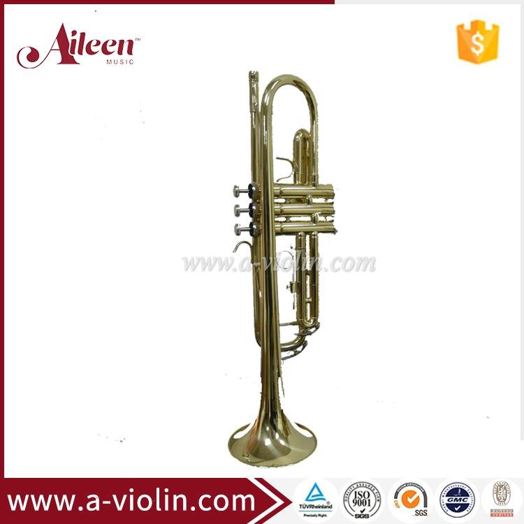 Golden Lacquered Yellow Brass Bb key Student Trumpet (TP8001G)