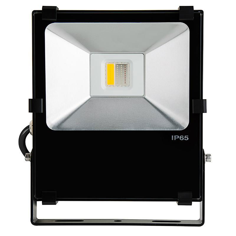 2.4G RF remote wifi control 30w Rgb Led Flood Light  IP65 2