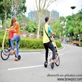 a new kind of folding bike similar as city bike made in China suitable for whole 1