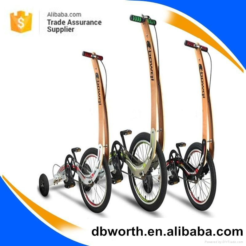 a new kind of folding bike similar as city bike made in China suitable for whole 2