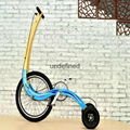 cheap Chinese folding bike without seat for body building