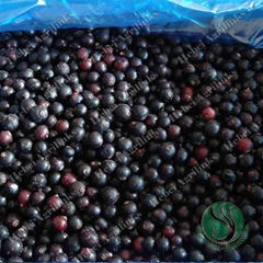 Frozen Blackcurrant