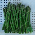 Frozen Green Asparagus spears whole 1