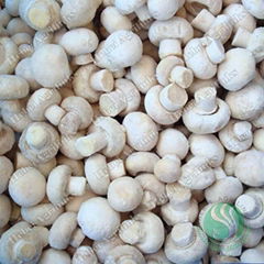 Frozen Champignon whole