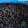 Frozen Blackcurrant 1