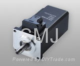 BLDC Motor 4