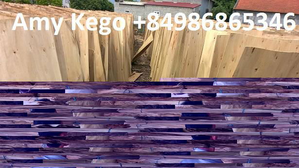 1.7mm Eucalyptus Core Veneer for Plywood Making