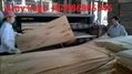 WBP AB Grade Plywood for Furniture 3