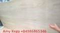 Flooring Plywood with Full Core and