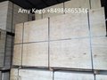 Packing Plywood 7mm 5 Plies Red and White Face 2