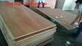 Container Floor 28mm Plywood 3