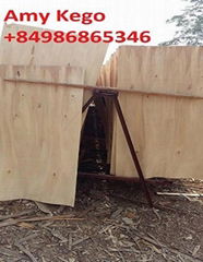 Eucalyptus Core Veneer Thickness 2.0mm A Grade to Make Plywood