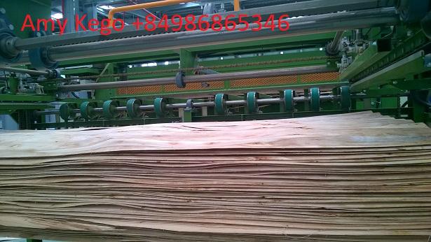 Flooring Plywood 8mm Phenol Glue for Export 3