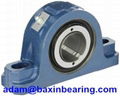 pillow block bearing from China