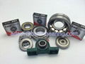 pillow block bearing from China 2