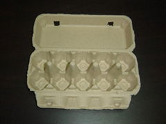 Egg Carton