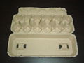 paper pulp egg cartons 2