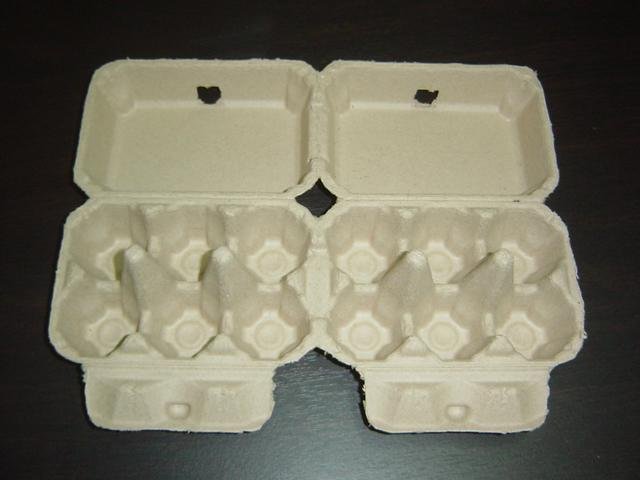 paper pulp egg cartons 2