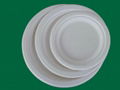 sugarcane pulp plate