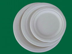 sugarcane pulp plate