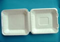 Sugarcane 8" clamshell box  1