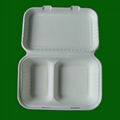 sugarcane 9x6x3 box 1