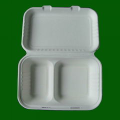 sugarcane 9x6x3 box