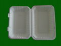 sugarcane 9x6x3 box 2