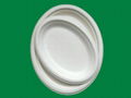 Oval plate