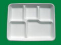 Lunch Tray